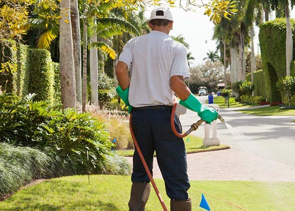 About Elk Horn IA Pest Control